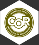 edmonton electrical contractors COR